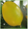 Yellow Paste